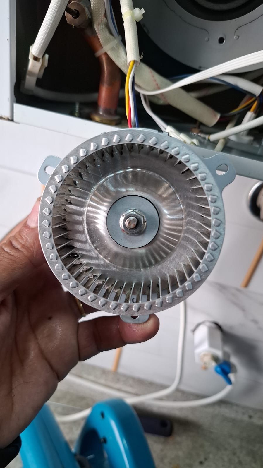 Imagem do WhatsApp de 2025-06-16 à(s) 20.20.57_9986aaea